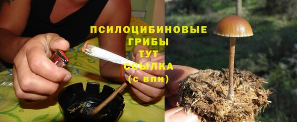 а пвп мука Алзамай
