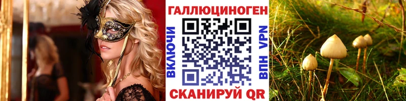 Псилоцибиновые грибы Cubensis Ужур