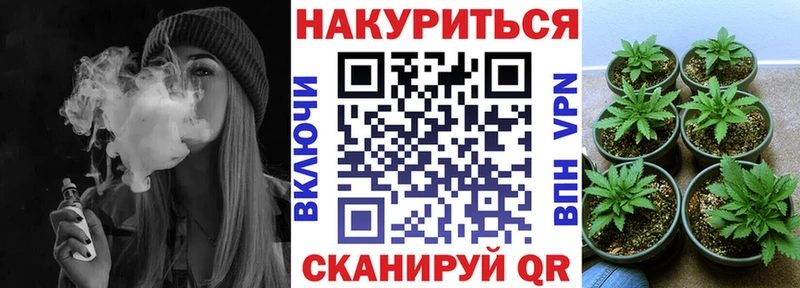 Конопля марихуана Ужур